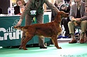 Crufts2011 101
